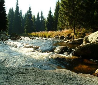 obrázek: Správa NP a CHKO Šumava znovu začíná prodávat nepotřebné nemovitosti 