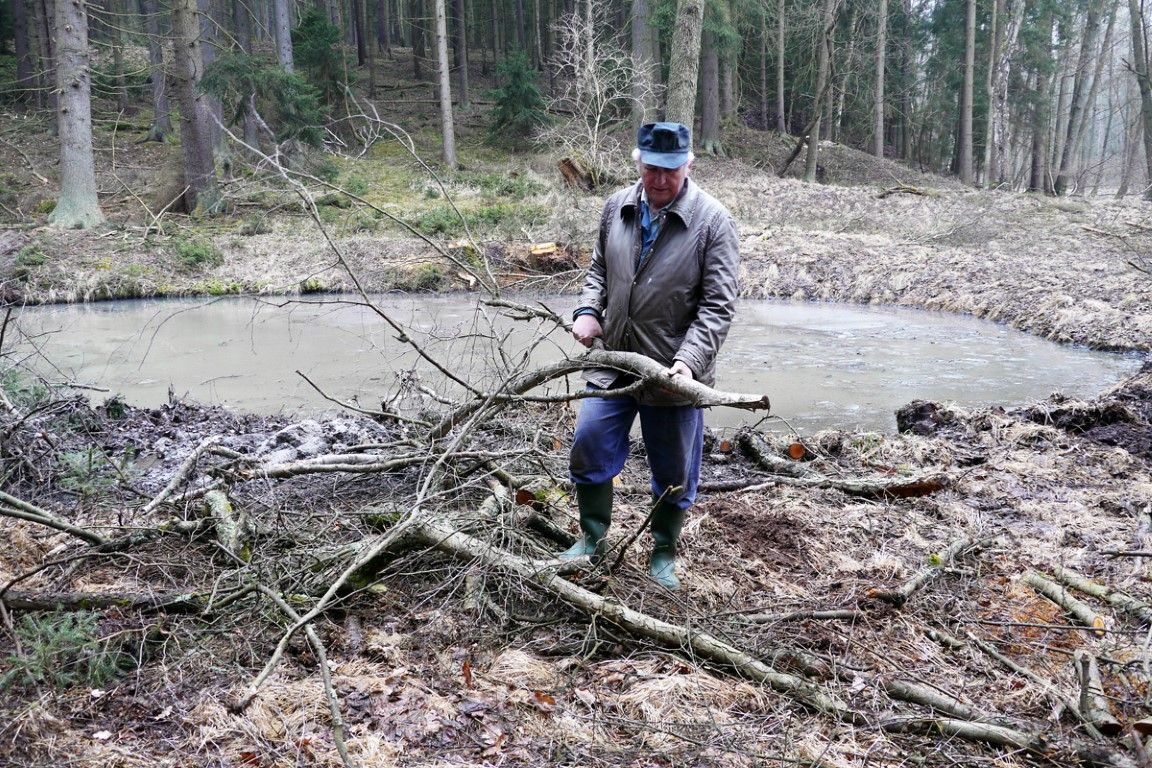 obrázek: Stanoviště pro obojživelníky vzniká u obce Lomany u Plas