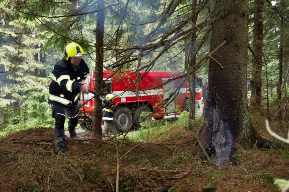 obrázek: Strážci Šumavy hasili u Dobré Vody požár po zásahu blesku