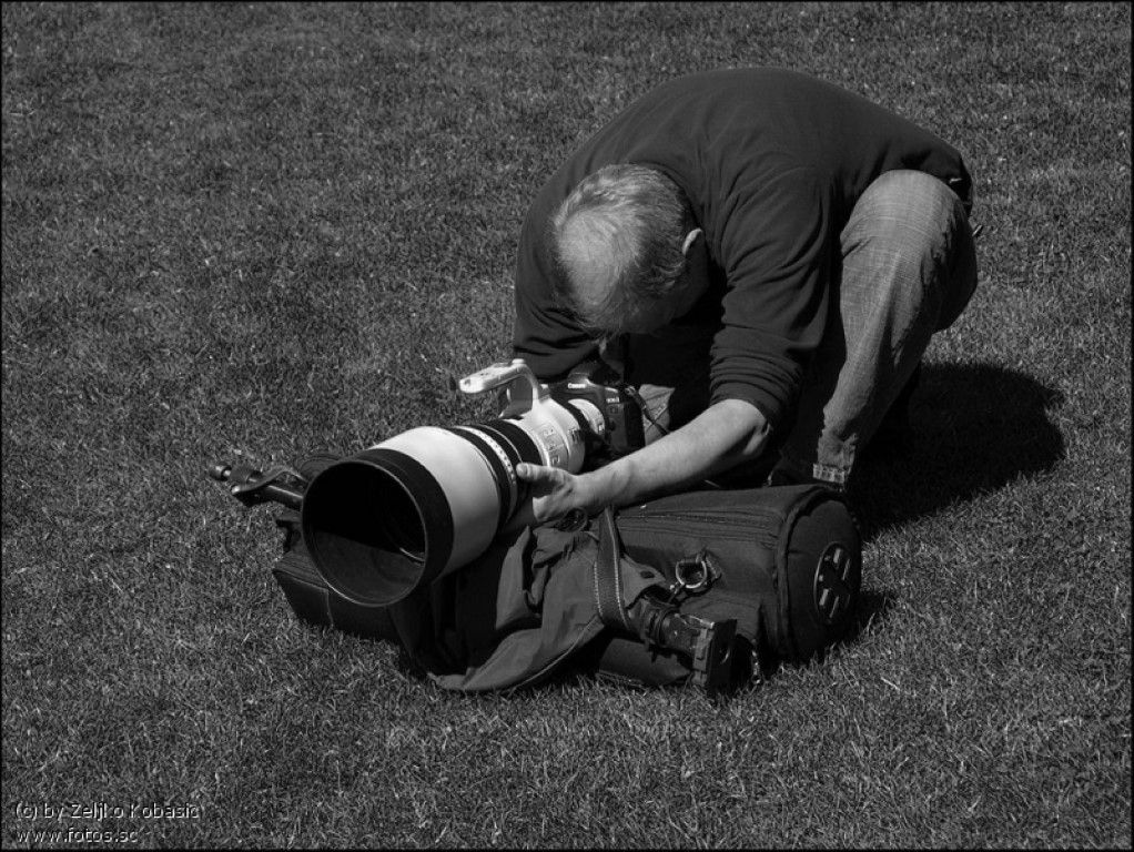 obrázek: Svědectví o životě lidí. Czech Press Photo je v Plzni 