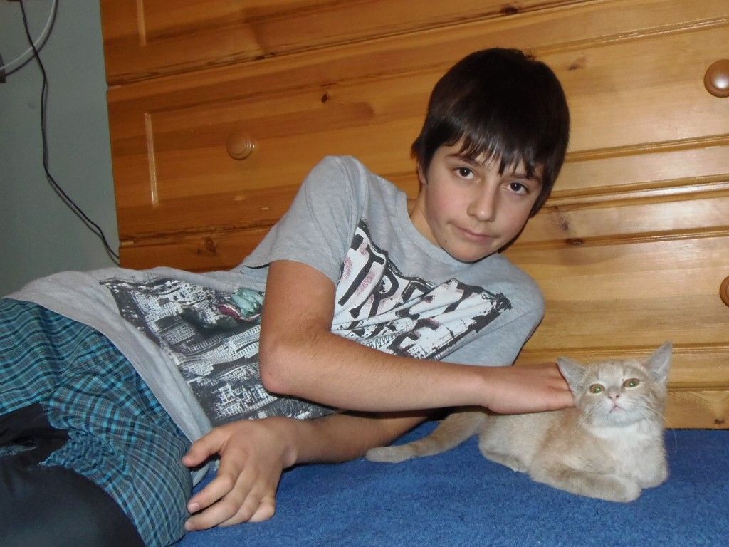 obrázek: Systematické vraždy koček v Kladrubech