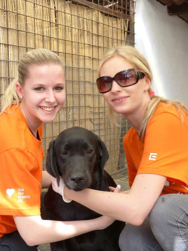 obrázek: Už posedmé pomáhali energetici v kraji neziskovkám