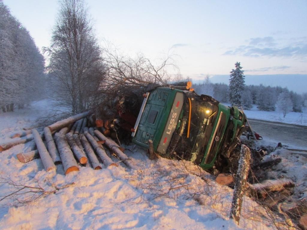 obrázek: V Nové Hůrce se převrátil kamion s dřívím, vyvrátil břízu