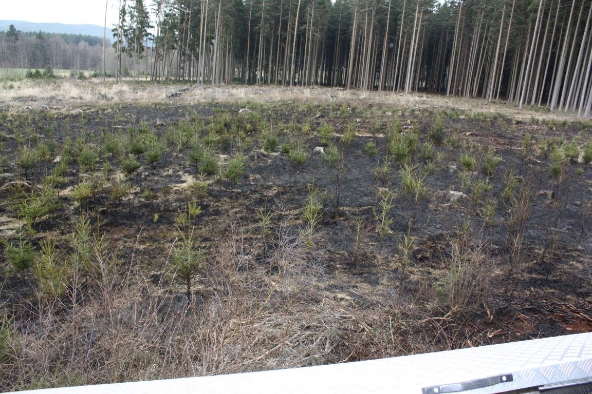 obrázek: V Nové Huti shořela lesní školka, někdo ji asi zapálil