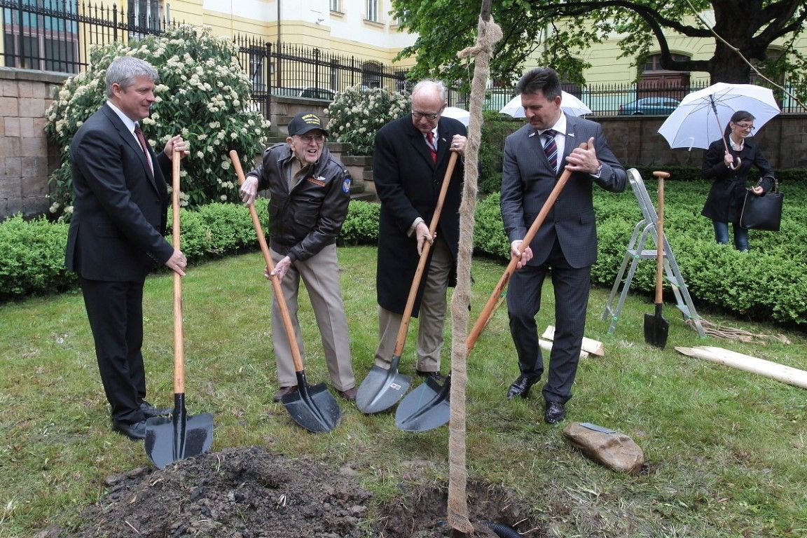 obrázek: Váleční veteráni si v parku M. Horníčka zasadili vlastní strom 