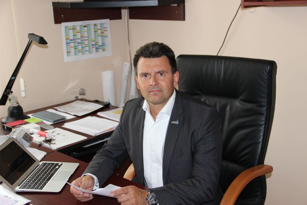 obrázek: Vyhláška o kácení dřevin mimo les se mění