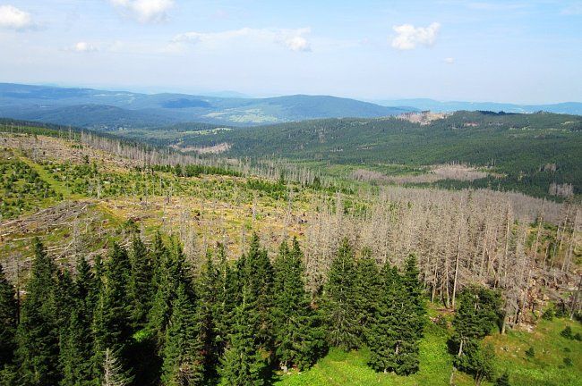 obrázek: Vyjížďky v kočáře i zlatokopectví - Šumava v týdnu láká 