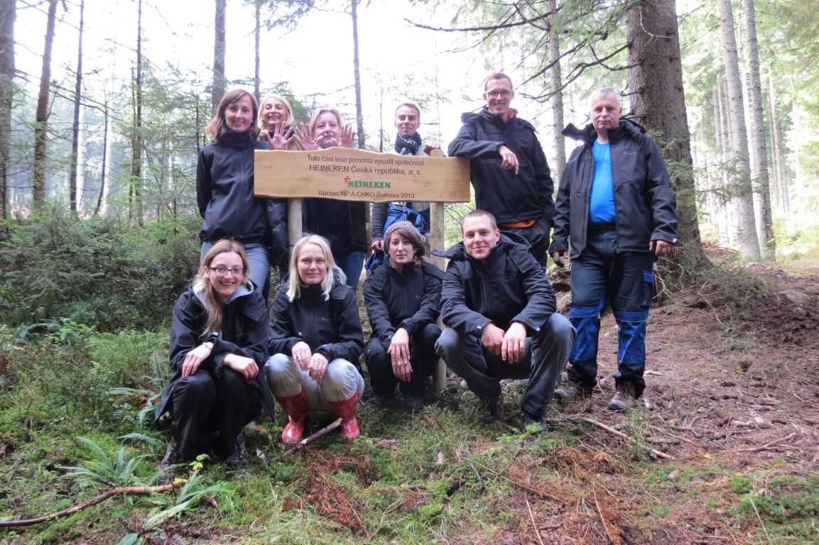 obrázek: Zeleným pivem za zelenou Šumavu: Heineken podpoří lesy