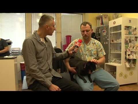 3.11.2014 / Zeptali jsme se za vás - Za ušima 6.
