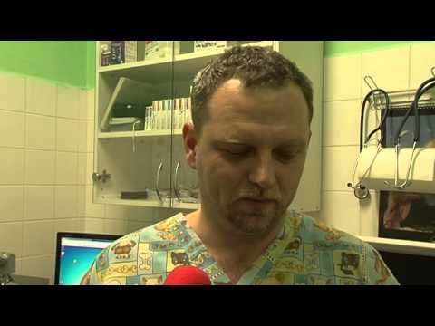 29.12.2014 / Zeptali jsme se za vás - Za ušima 8.