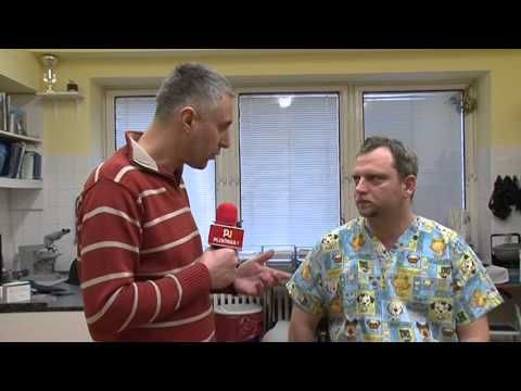 26.1.2015 / Zeptali jsme se za vás - Za ušima 9.