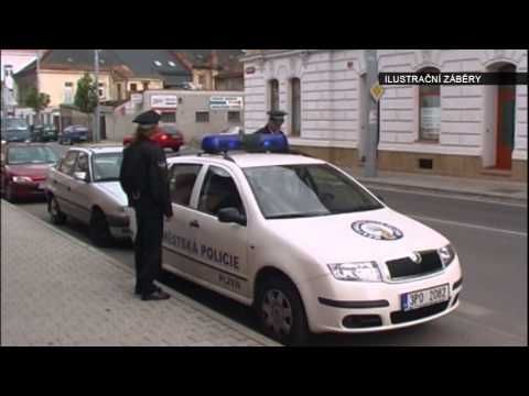 Plzeň chystá koncepci bezpečnosti, zahrne městskou policii, problémové lokality i MHD