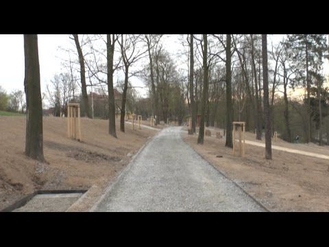 Nová zeleň za miliony oživí město Plzeň