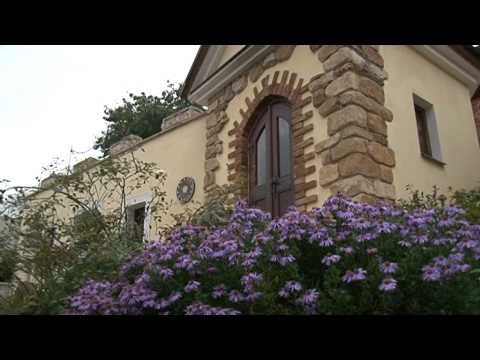 10.11.2014 / Vaše ulice - Plaská, Bolevecká náves