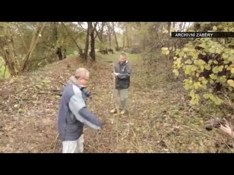 Anděl Fest v Plzni bude opět pomáhat