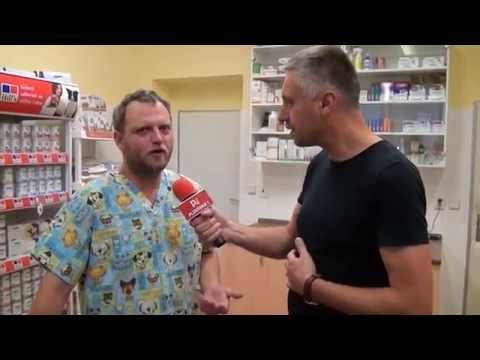 Za ušima 15.