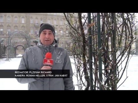 Jaký byl rok 2015?