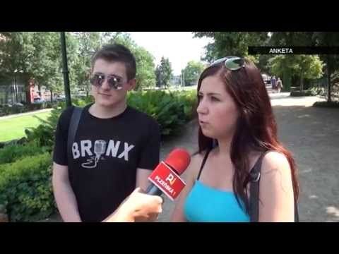 ANKETA - Přijímání imigrantů