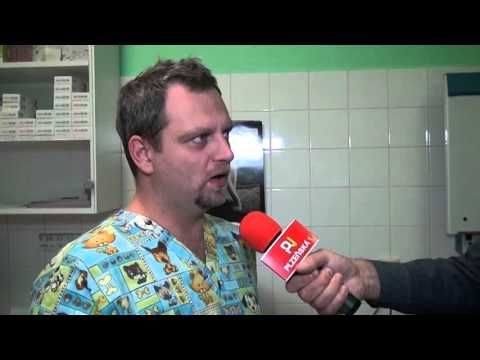 Za ušima 17.