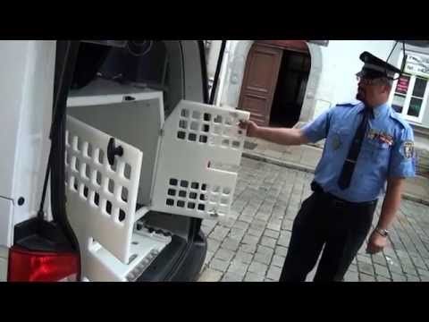 Strážníci v Plzni mají nový vůz na odchyt zvířat, službu poskytují už deset let