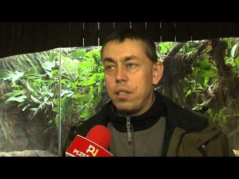 Zoo Plzeň má nový vzácný přírůstek