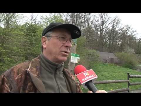 Pětice vlčat se má v plzeňské ZOO k světu!