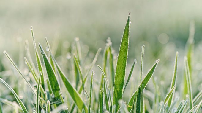 Extrémní výkyv počasí. Ráno na Šumavě mrzlo, odpoledne teploty vystoupali k 36 °C