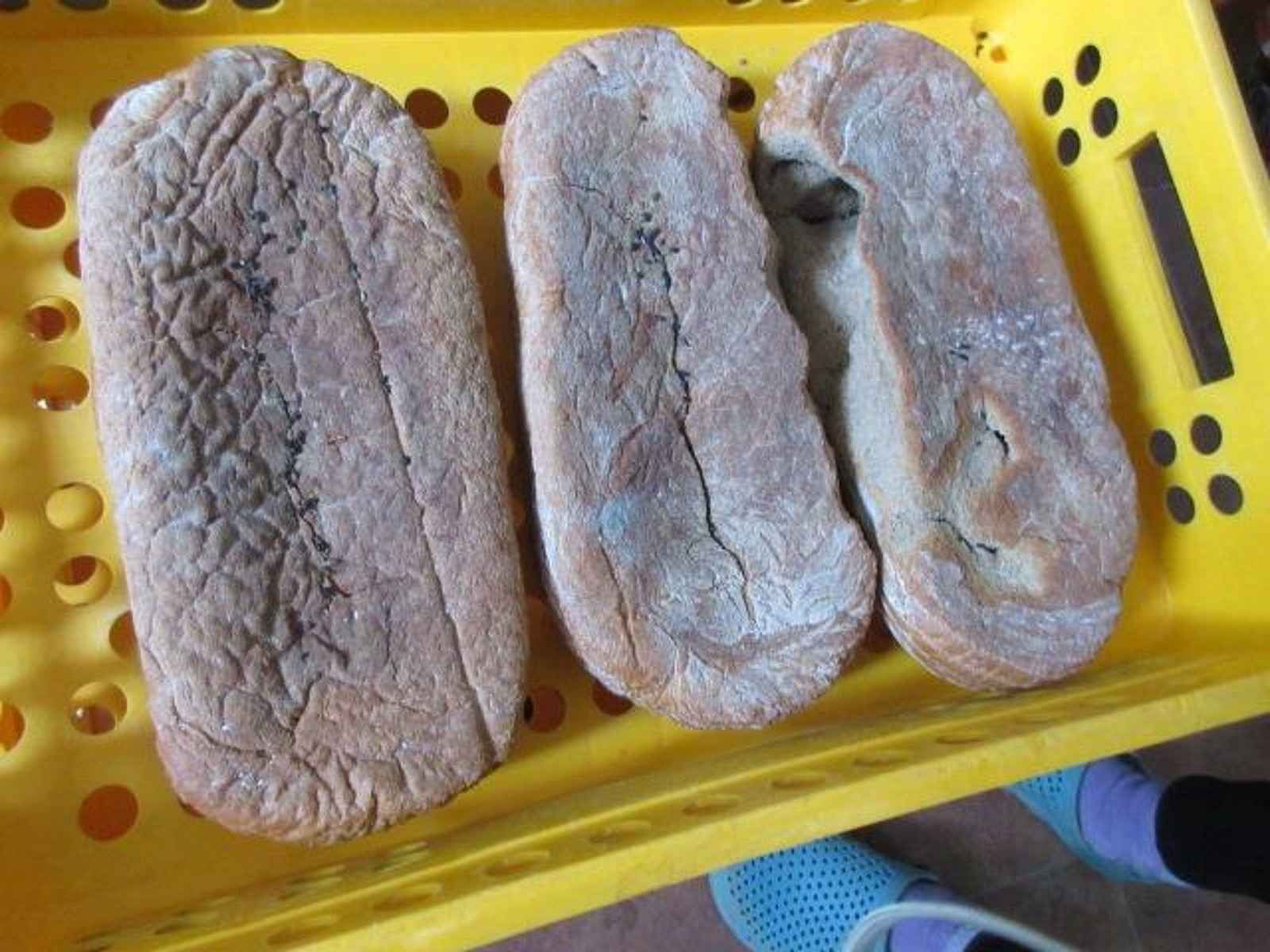 Myši a trus ve skladu. Inspektoři v Nepomuku uzavřeli zázemí prodejny Růže