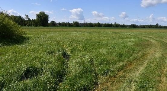 Nová cyklostezka v Plzni - gondolový most a trasa bez kopců