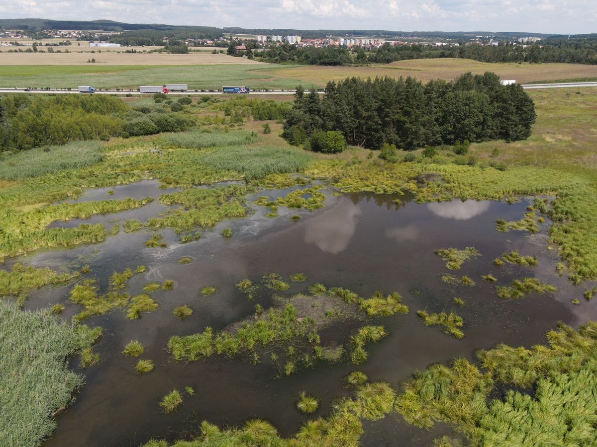 Plzeňská ZOO zahajuje kampaň Mokřady pro život