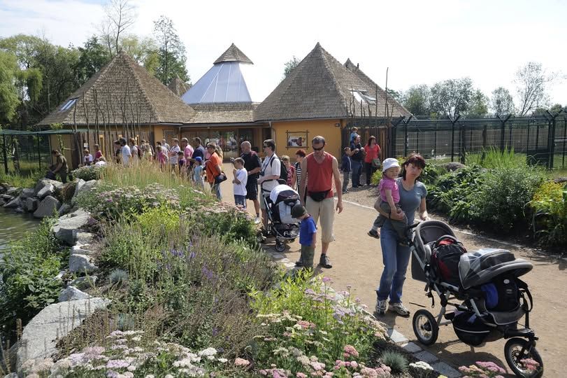 Sto let Zoo Plzeň, podívejte se na kalendář oslav a akcí pro rok 2026