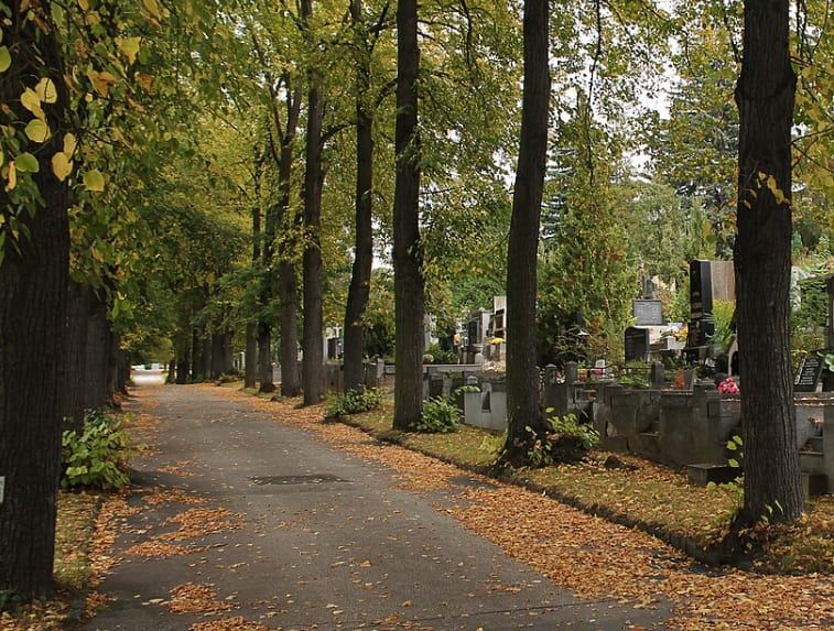 Znásilnění na Sušicku. Žalobce žádá 7 let, obžalovaný vše popírá