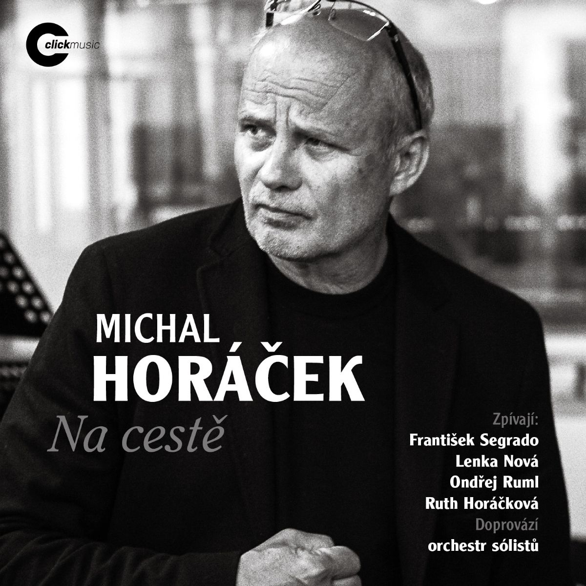 Koncert Michala Horáčka v Plzni