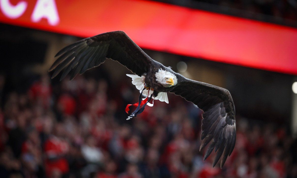 Benfica míří do Plzně! Viktoria spouští prodej balíčků na čtyři evropské bitvy