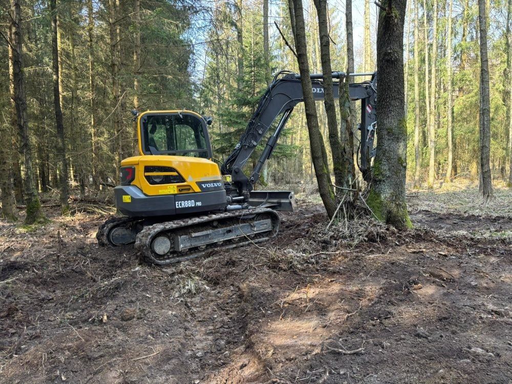Brdy vracejí vodu do lesa. U Trokavce zasypávají staré odvodňovací kanály