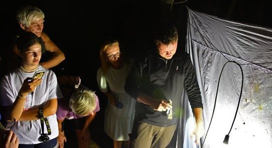 Noční motýli odhalí svá tajemství v překrásném Arboretu Sofronka