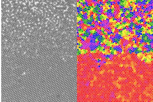 Průlom za ZČU, vědci zachytili ve 2D hexatickou fázi tání