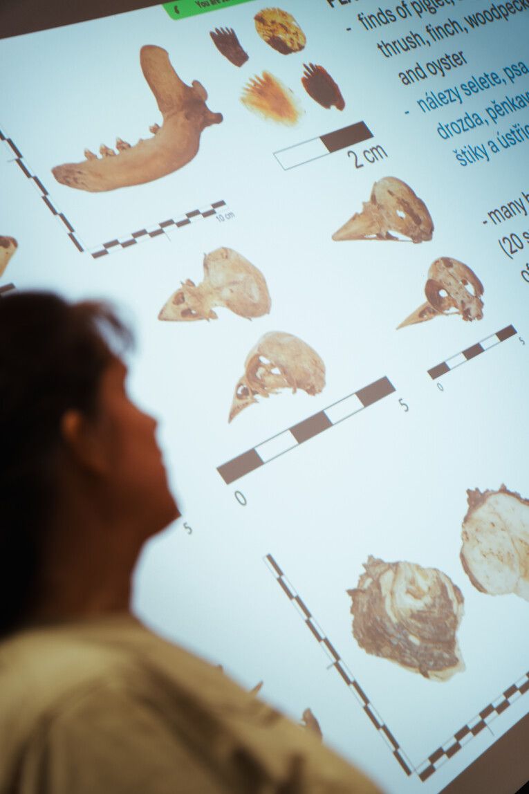 Setkání mladých archeologů a antropologů z Česka a Polska v Plzni
