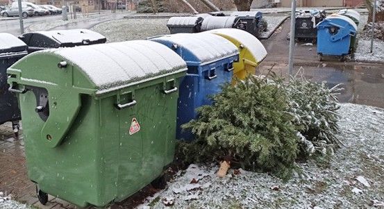 Svoz stromků v Plzni zahájen, bude probíhat celý leden