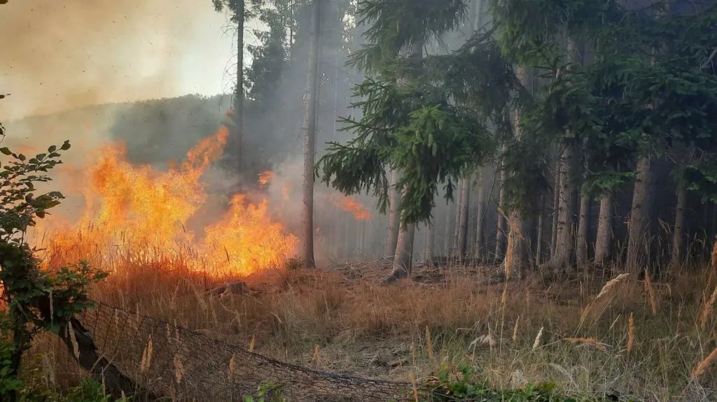 Vedro a sucho zvyšují na Šumavě riziko požárů. Platí přísná pravidla pro oheň i kouření