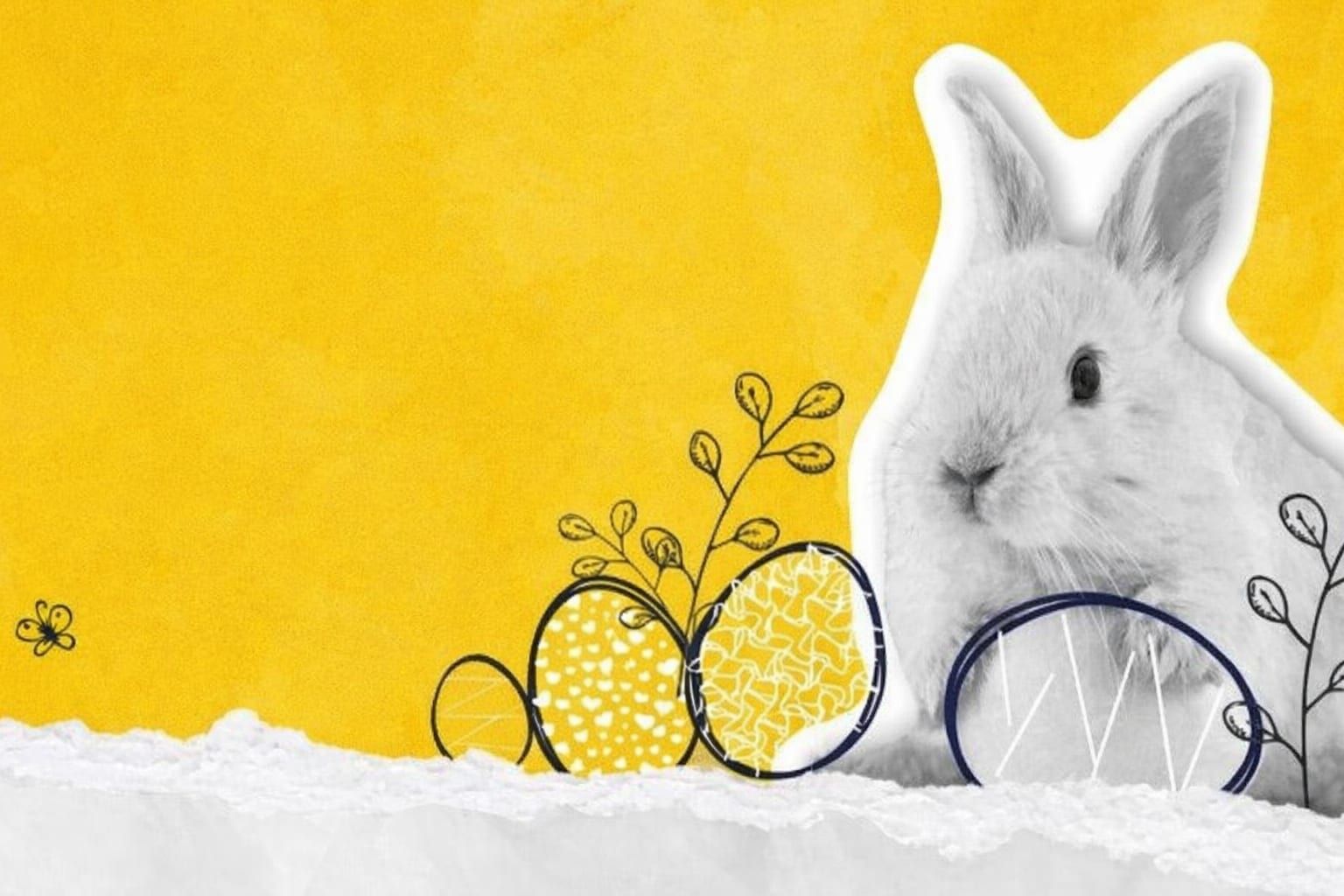 Velikonoční EGGSperimenty v Techmanii slibují zábavu pro malé i velké