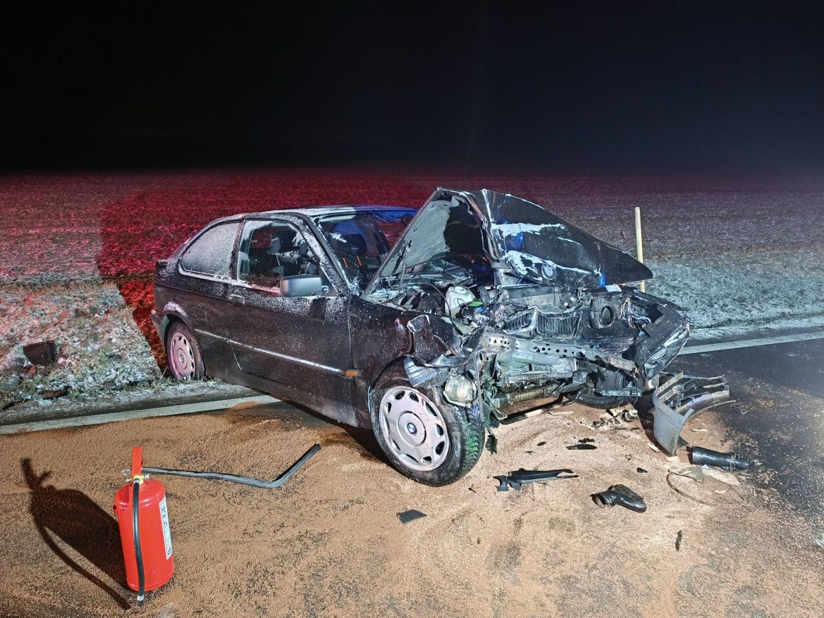 BMW na Tachovsku dostalo smyk a narazilo do stromu. Řidič měl velké štěstí