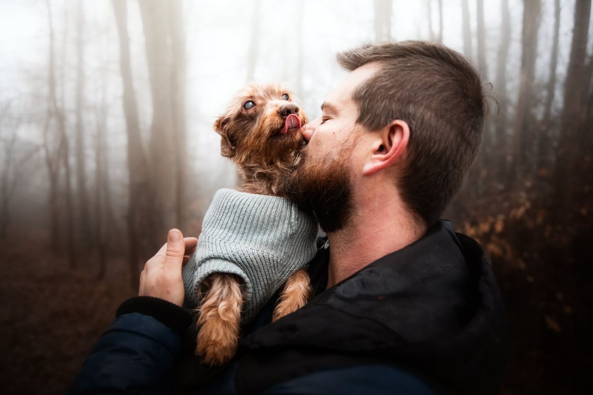 Nevidomý Brex hledá nový domov po zásahu ve Starém Sedlišti