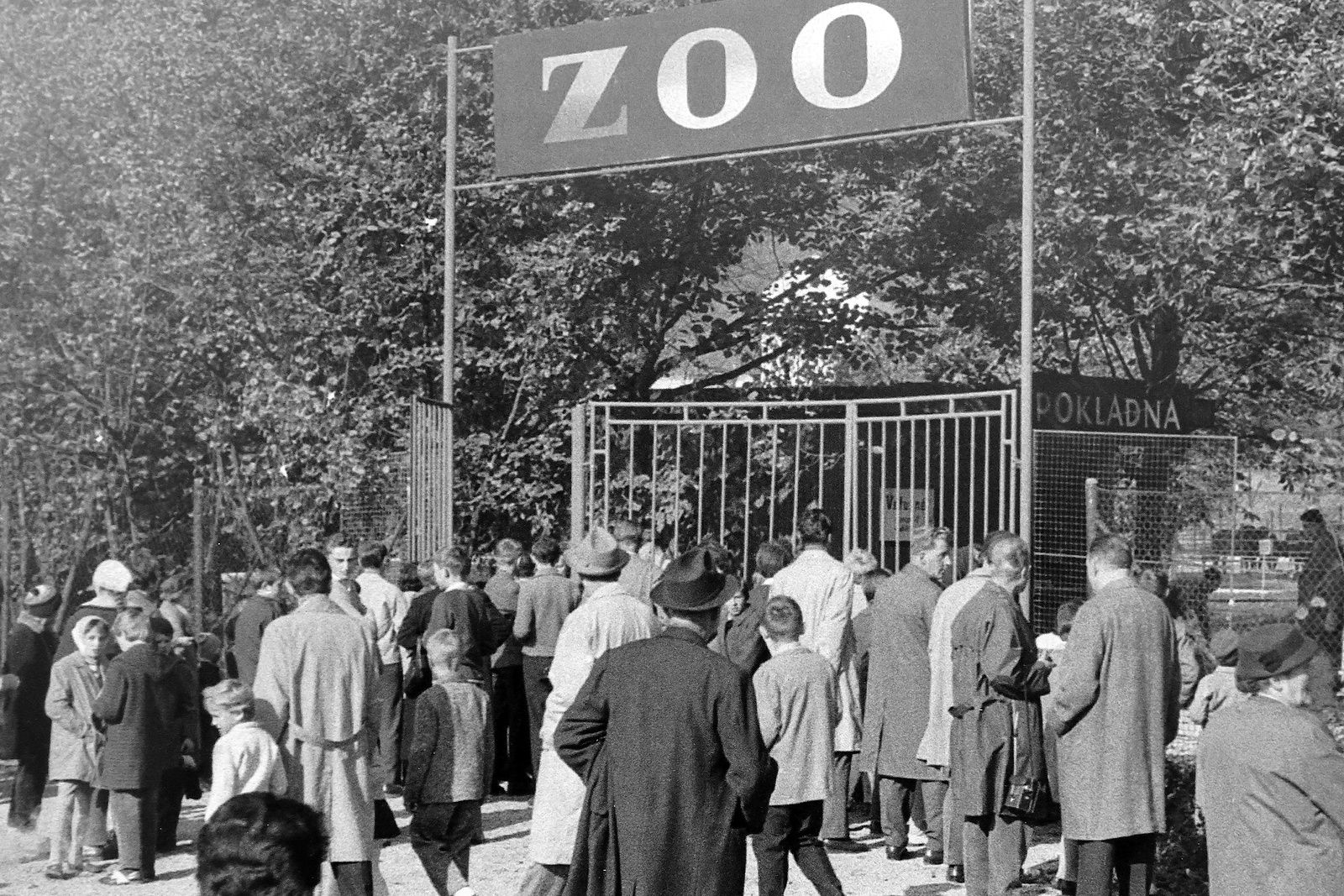 Plzeňská ZOO slaví sto let, od party nadšenců až po biopark světových parametrů