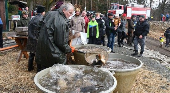 Stromky a kapři opět u Košináře od 6. prosince