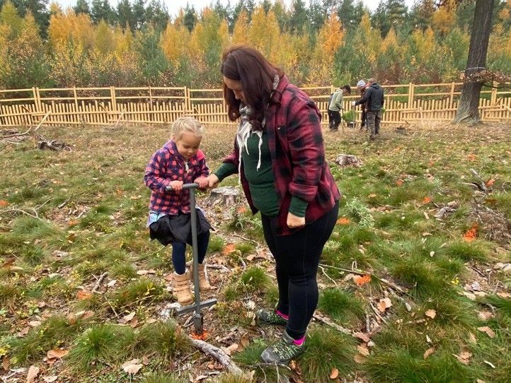 Tady můžete pomoct přírodě přímo vlastníma rukama. Plzeň zve na Den pro les