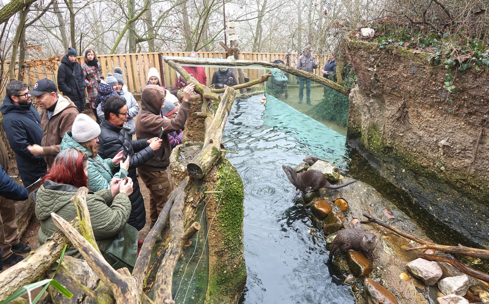 Vydří sourozenci jsou Matylda a Klotylda - hvězdy plzeňské expozice