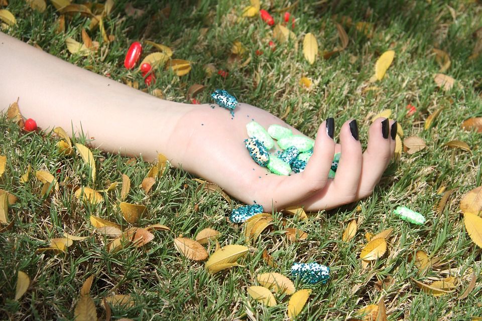 Bílý kruh bezpečí, Exodus a další si rozdělí dotace v sociální oblasti