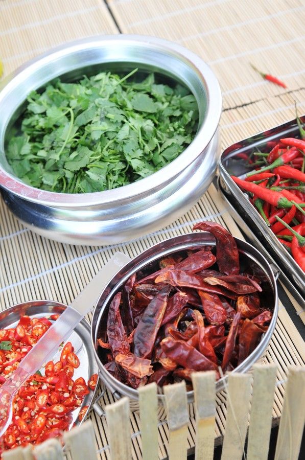 obrázek: Bosh Fresh festival a jeho speciální lahůdky už ochutnává Plzeň