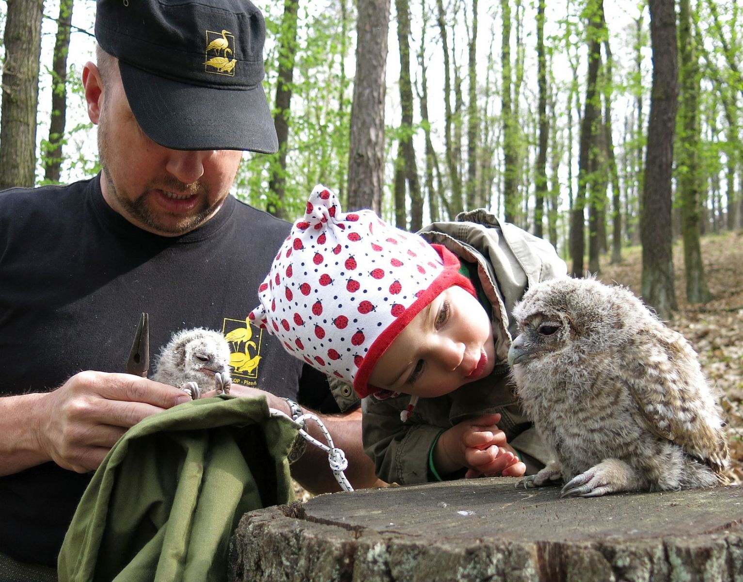 obrázek: Je tu jaro, zvířecí záchranáři se nezastaví